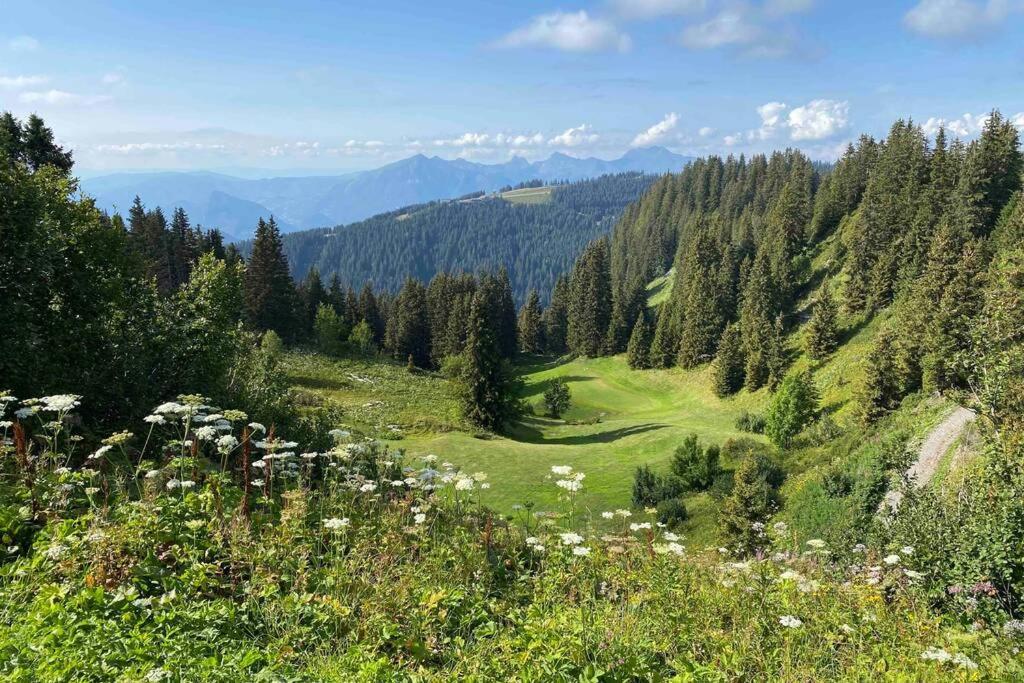 Vue Panoramique Sur Les Montagnes Plein Sud - T2 Skis Aux Pieds, Piscine & Spa 福勒恩 外观 照片