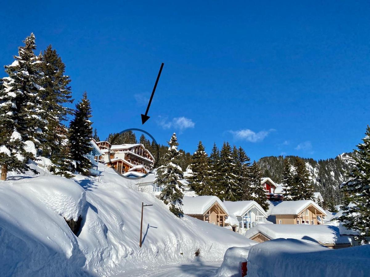 Vue Panoramique Sur Les Montagnes Plein Sud - T2 Skis Aux Pieds, Piscine & Spa 福勒恩 外观 照片